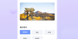 翻转图片镜像的手机软件合集