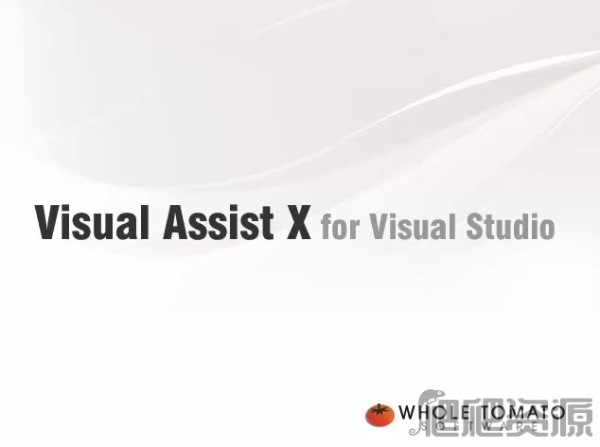 Visual Assist X