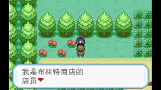 口袋妖怪火红2012珍藏版