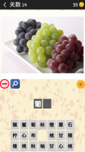 最爱猜水果