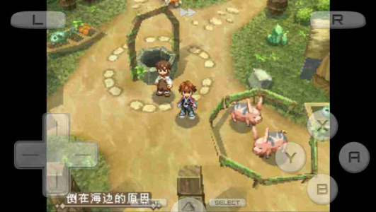 心灵传说nds中文版