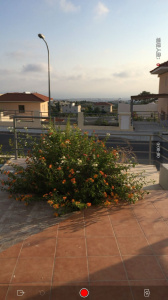 榴莲直播2.0新版