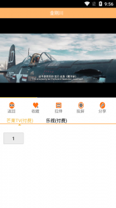 椰子视频无限制版