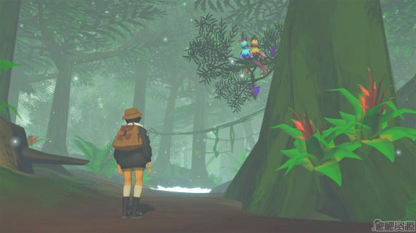 马拉维拉岛的奇禽异兽