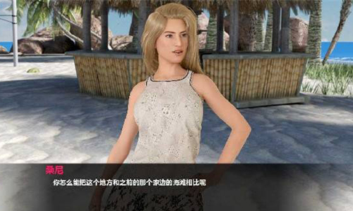 文化冲击困惑slg