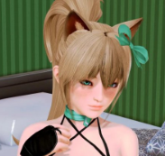 Harem Hotel全CG解锁版