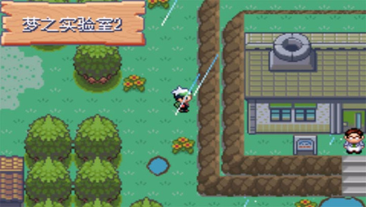 口袋妖怪罪恶的世界原版