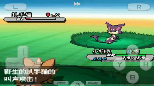 口袋妖怪白2单机版