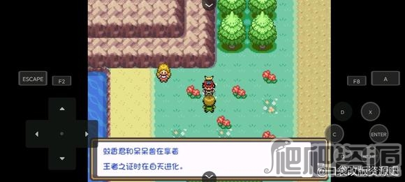 《口袋妖怪燃之智》确认时间方法