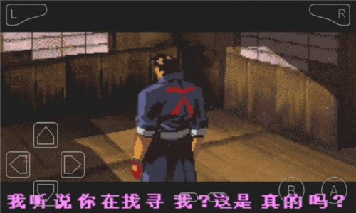 究极截拳道日语版