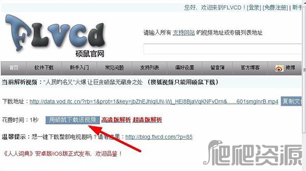 硕鼠FLV视频下载器