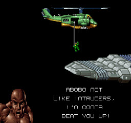 忍者蛙与双截龙手机版