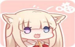 皮皮喵精简版