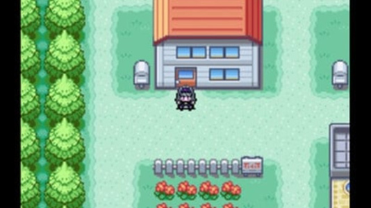 口袋妖怪火红2012珍藏版