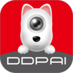 盯盯拍车机版app