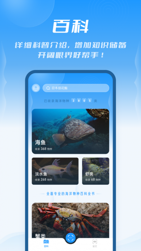 问鱼app
