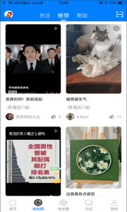 凤台小鱼网手机版