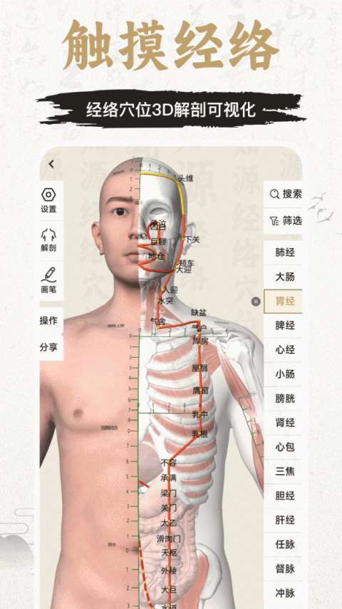 中济经络穴位app