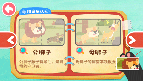 奇妙的动物家庭最新版