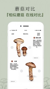 菌窝子app