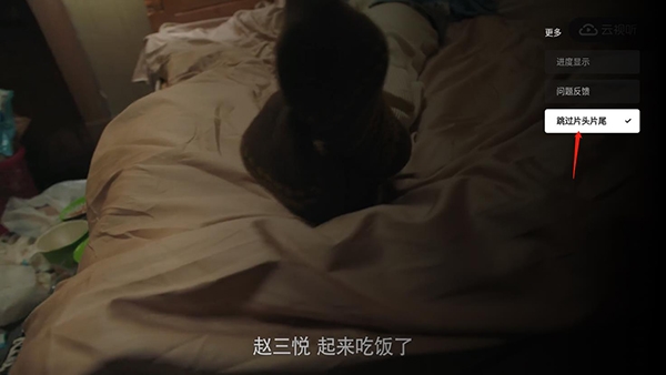 B站TV版(云视听小电视)
