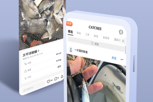 渔获app