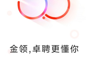 智联卓聘app