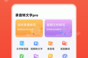 录音转文字pro app