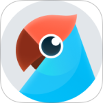 有道翻译官翻译app