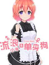 流浪小猫单身狗