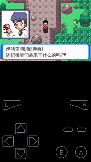 口袋妖怪决心gba版