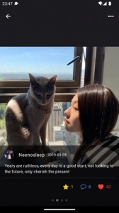 飞风免费聊天版