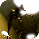 backrooms游戏(暗房)