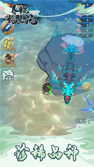 养鲲就是玩官方正版