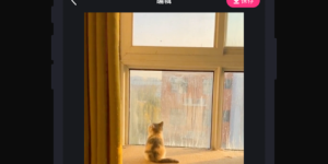 手机在线制作仿真病历证明手机软件合集