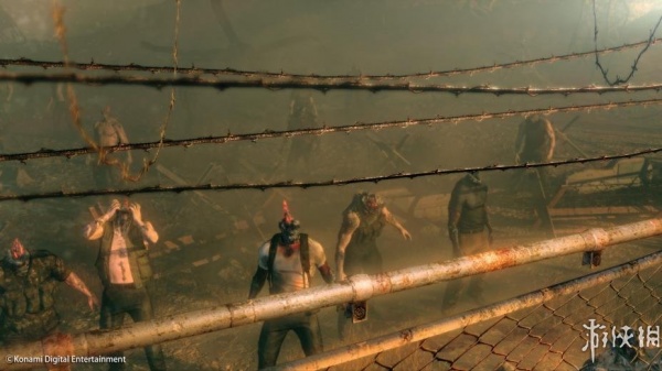 合金装备：幸存