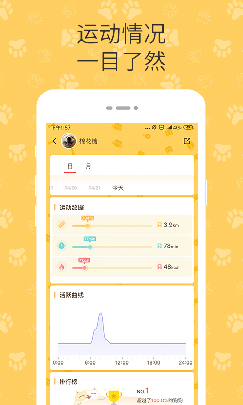 陪彼宠物最新版