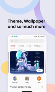 oppo主题商店国际版(Theme Store)