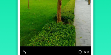 在原图上改字的手机软件合集