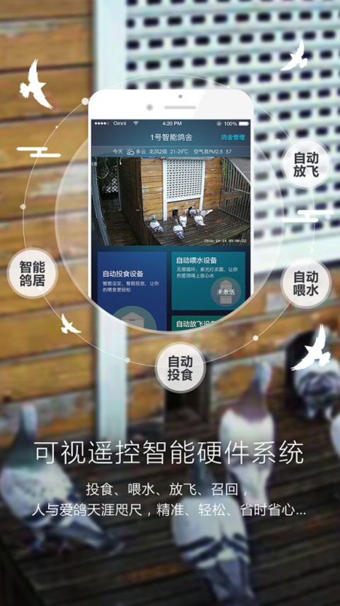 爱鸽者最新版