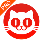 猫眼专业版app