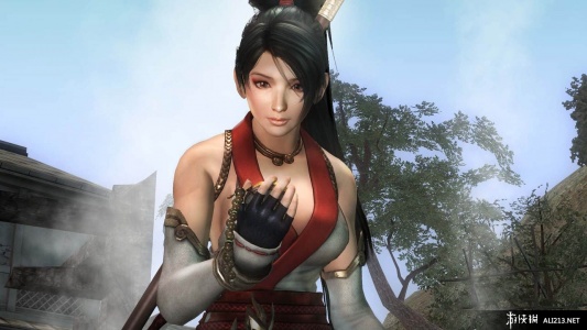 忍者龙剑传：西格玛2