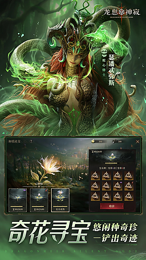 龙息神寂官方版