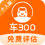 车300二手车app