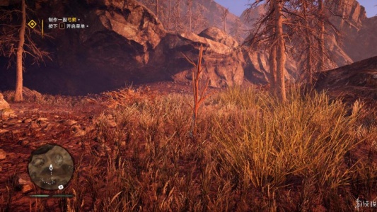 孤岛惊魂：原始杀戮