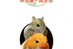 我的仓鼠手游(Namaham)