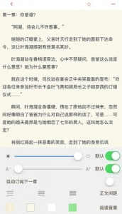 灵书阅读极速版