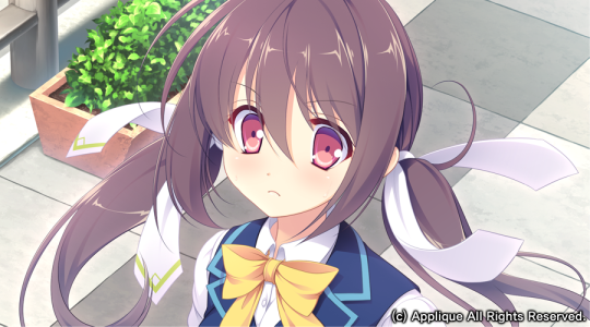 五色浮影绽放于花之海洋