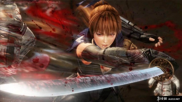 忍者龙剑传3：刀锋边缘