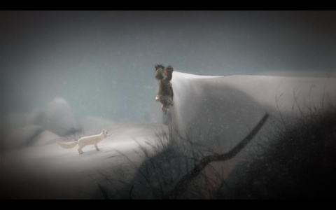 永不孤单：狐狸传说